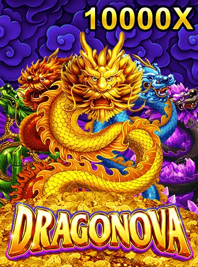 qq887 qq887